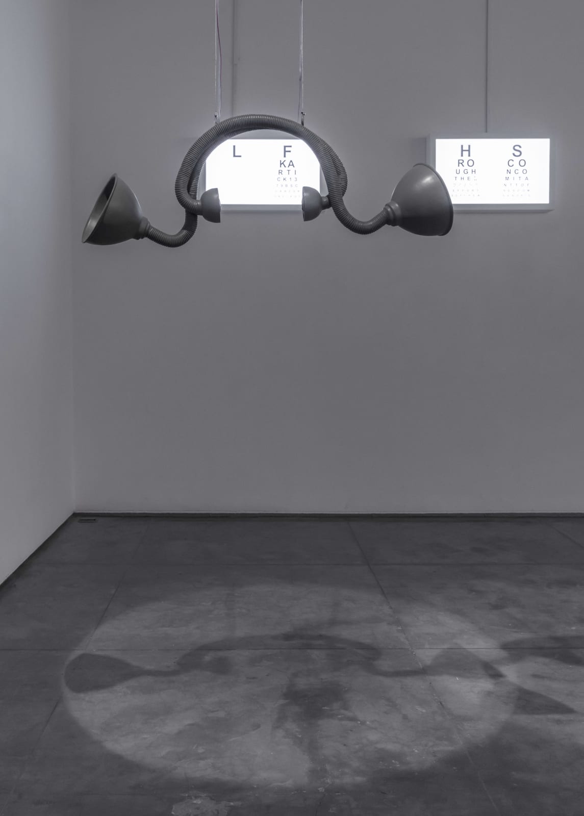 Reena Saini Kallat, Blind Spots, 2017-19