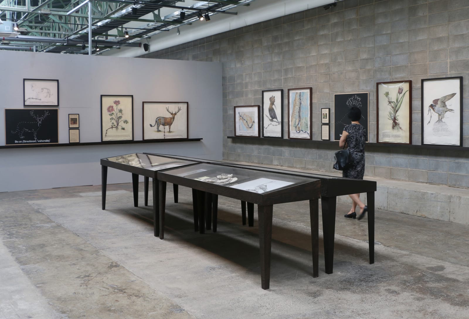 Reena Saini Kallat, Hyphenated Lives, 2016