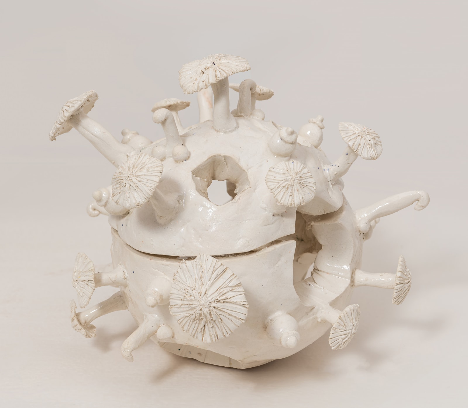 Vinita Mungi, Virus, 2022