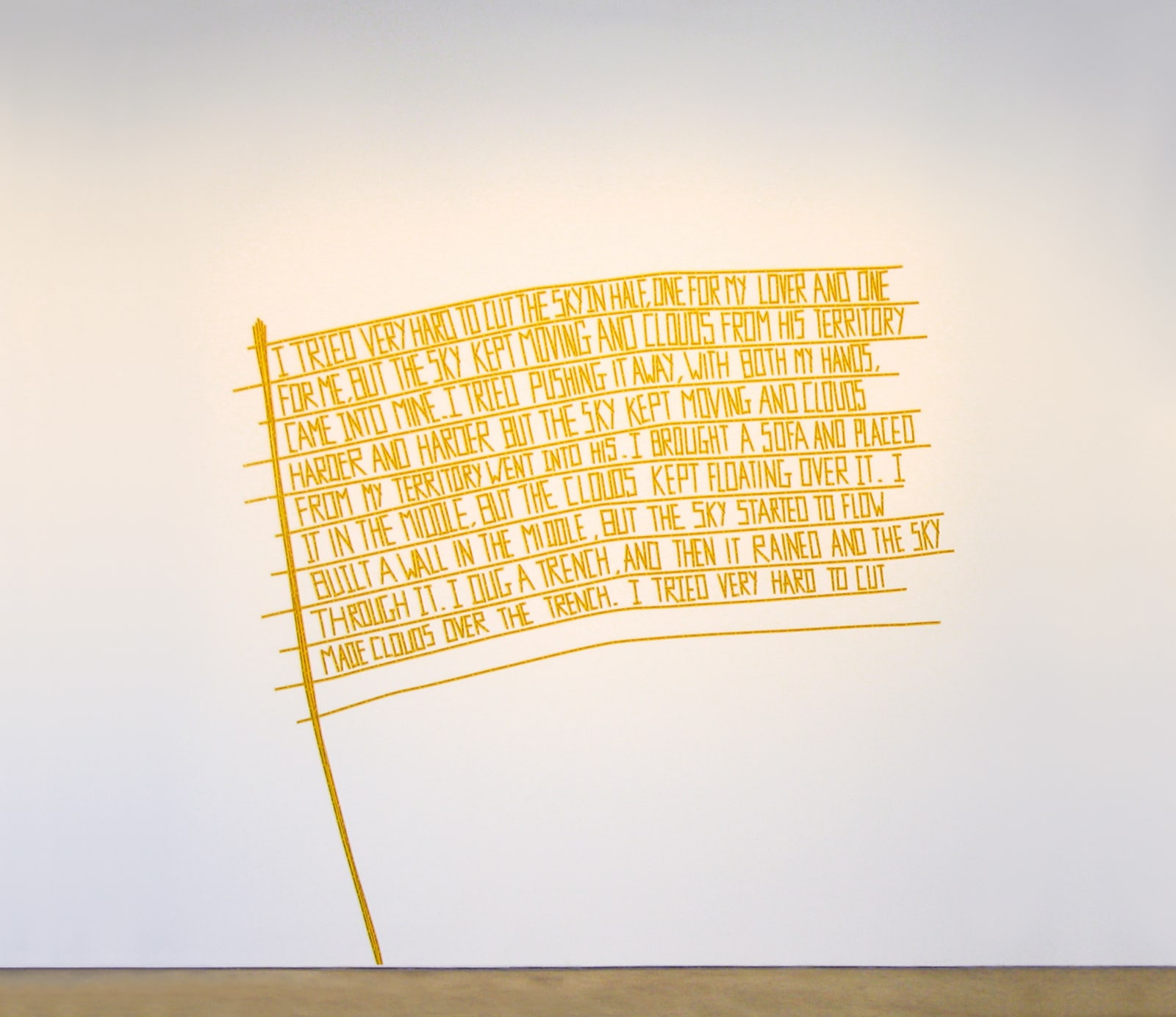 Shilpa Gupta, There is No Border here, 2005-2006