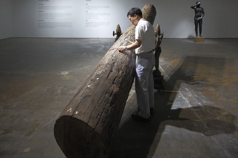 Tallur LN, Chromatophobia, 2010