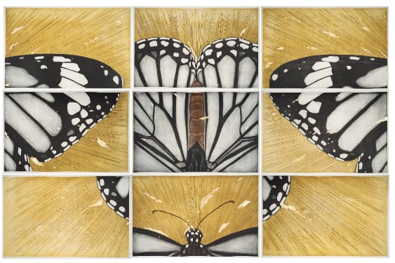 Tanujaa Rane, Transfiguration Metamorphosis, 2021