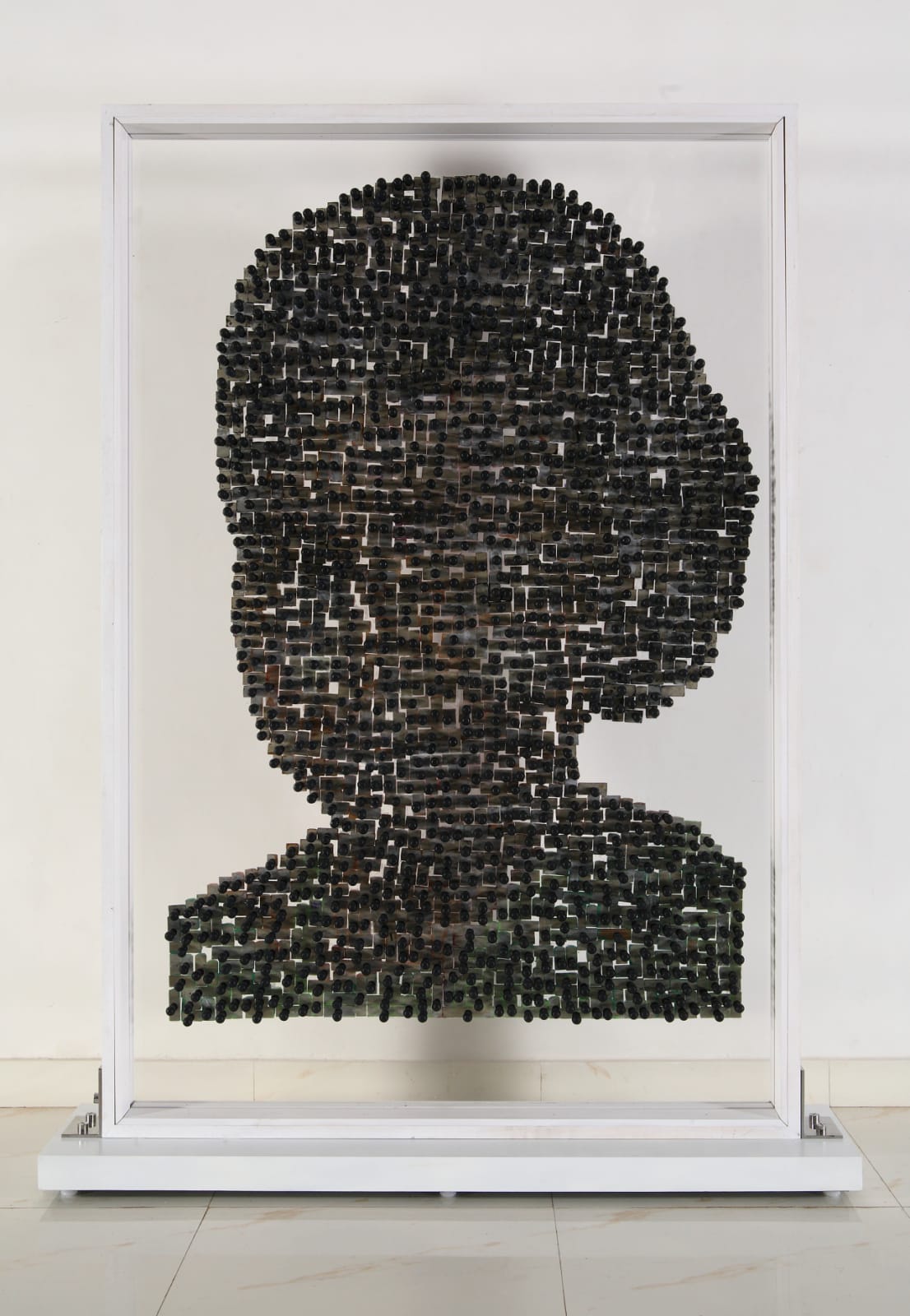Reena Saini Kallat, Synonym, 2009
