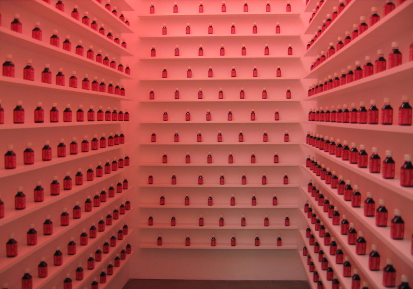 Shilpa Gupta, Blame, 2002