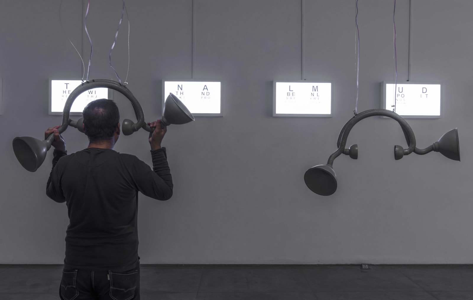 Reena Saini Kallat, Blind Spots, 2017-19