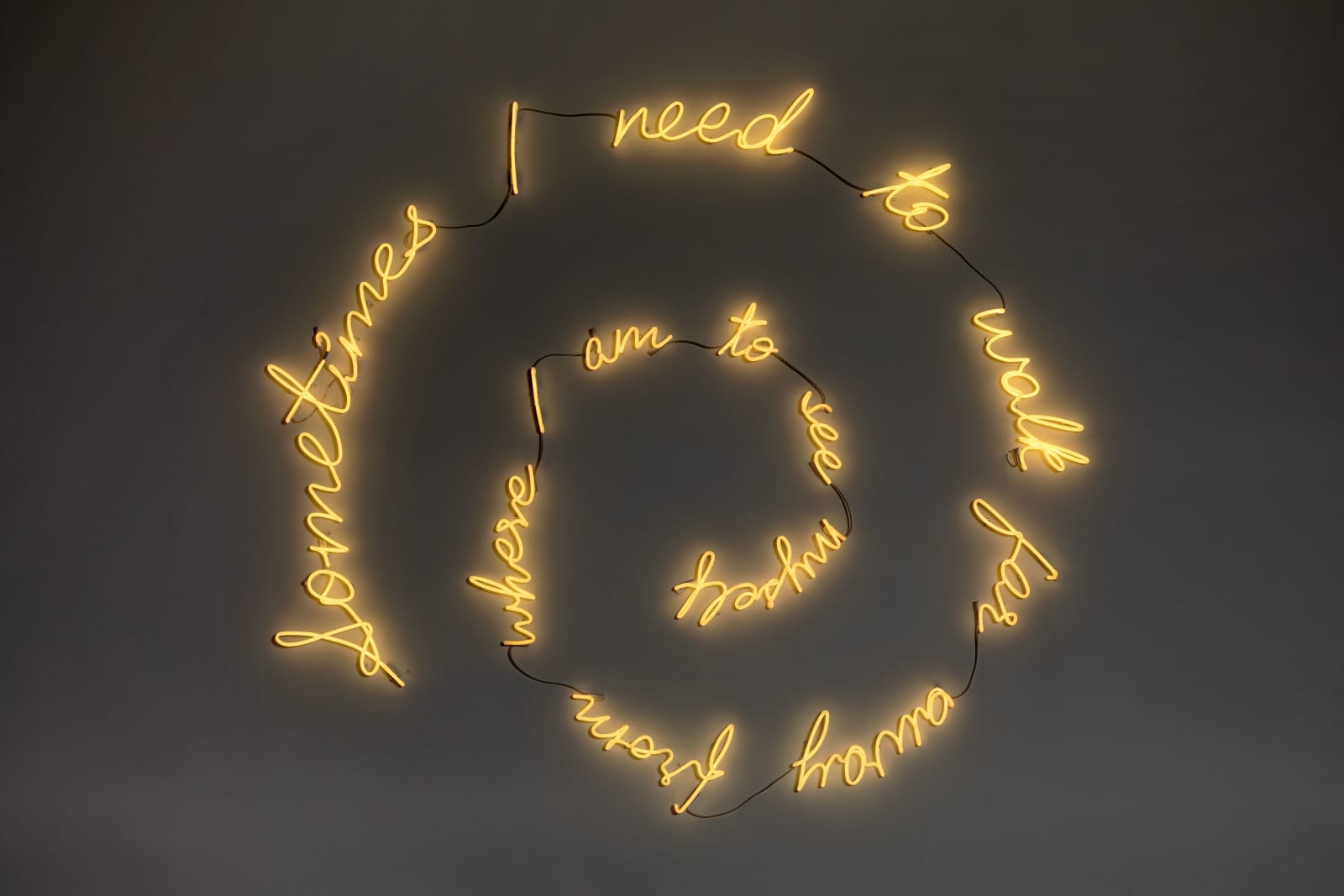 Shilpa Gupta, Sometimes I need to walk far away from where I am to see myself, 2019