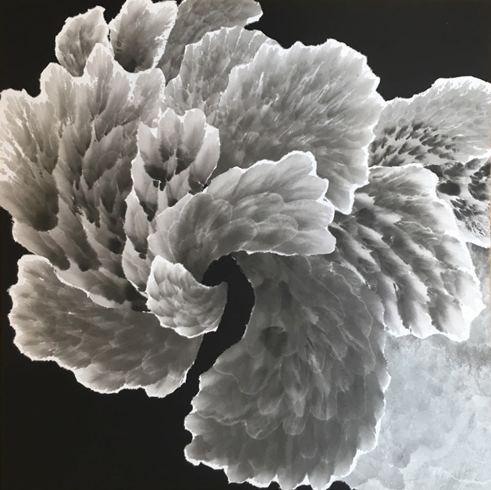 Allison Svoboda, Furling XV