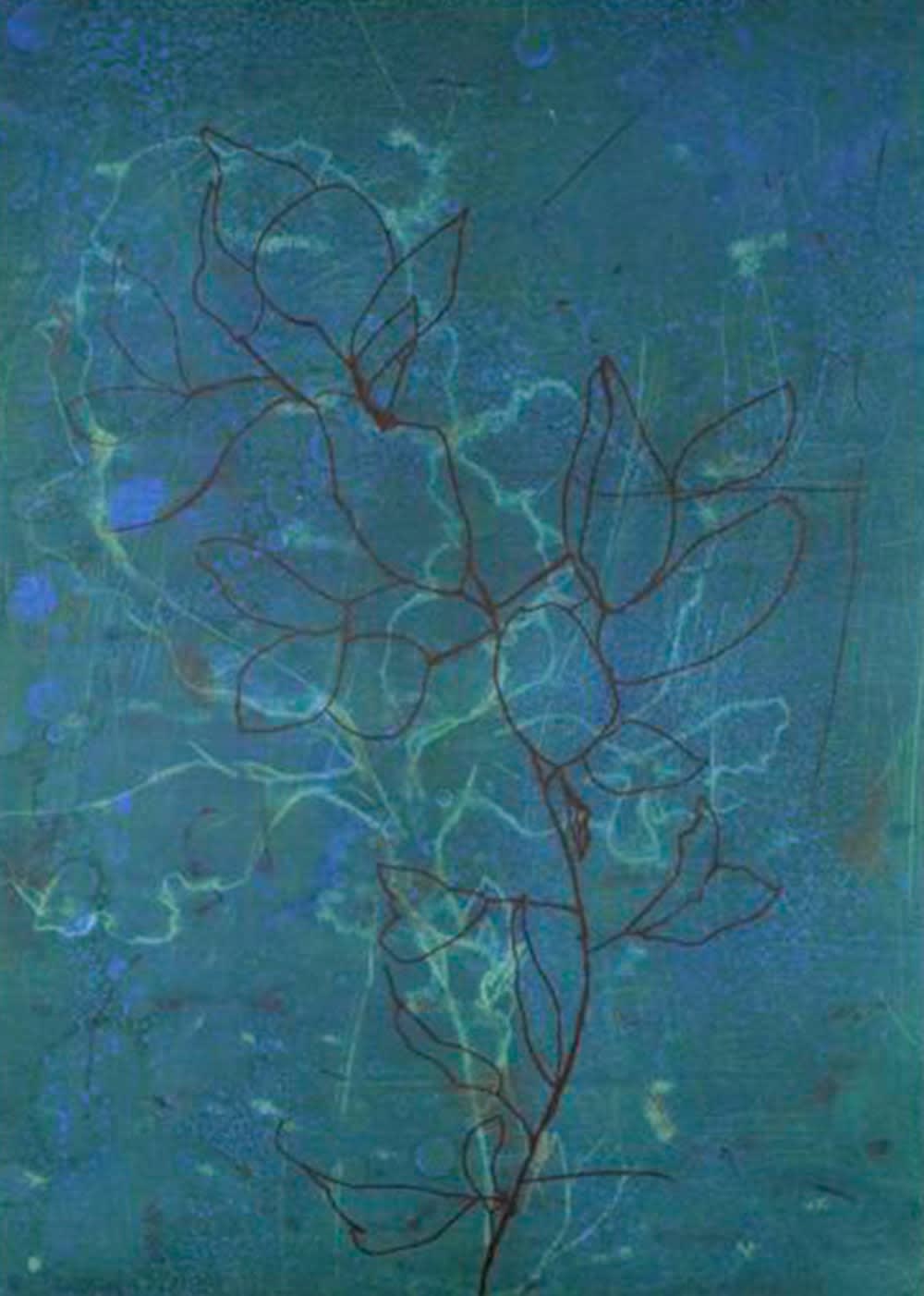Suzi Davidoff, New Flowers for VSW No.1