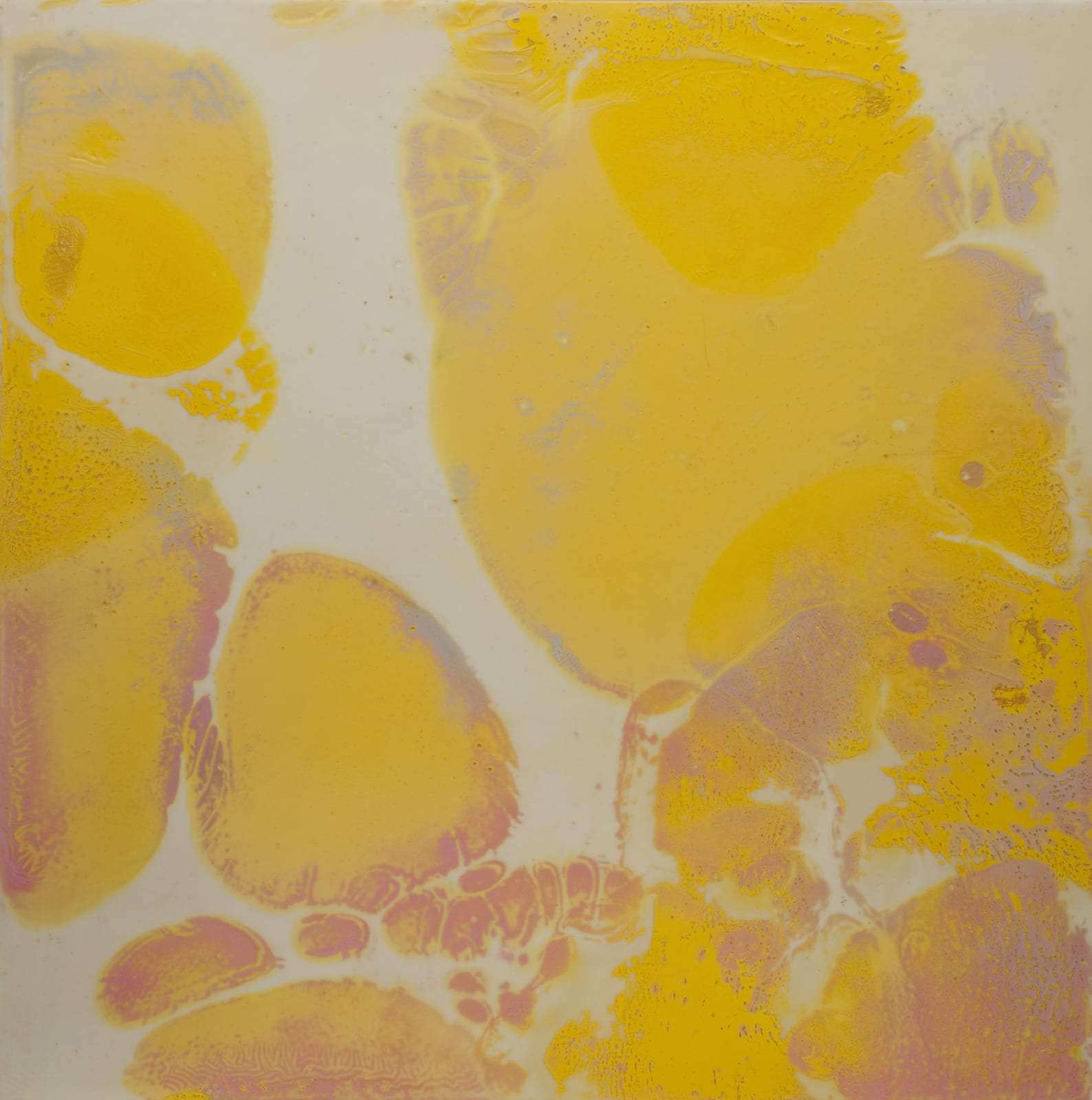 Mary Rousseaux, Series 21 #1 (yellow)