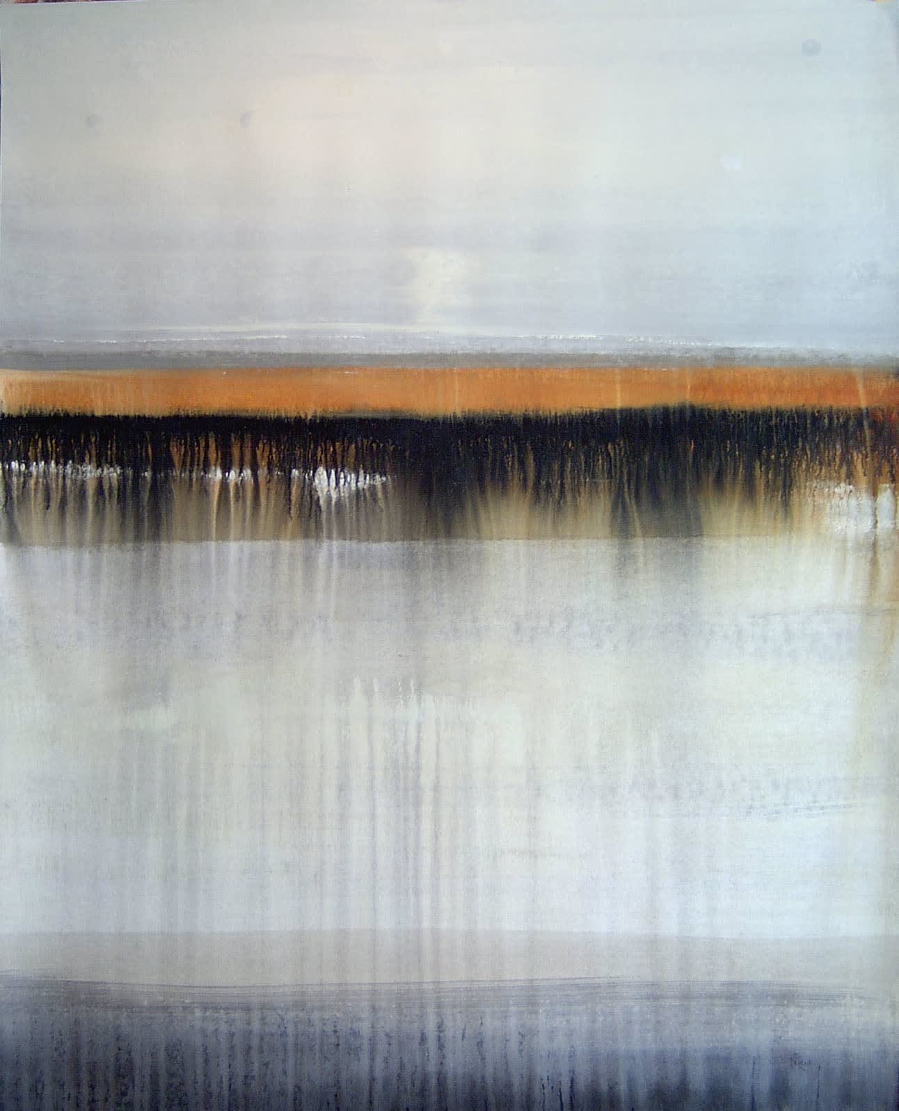 Lisa Ridgers, Fused Suggestions II
