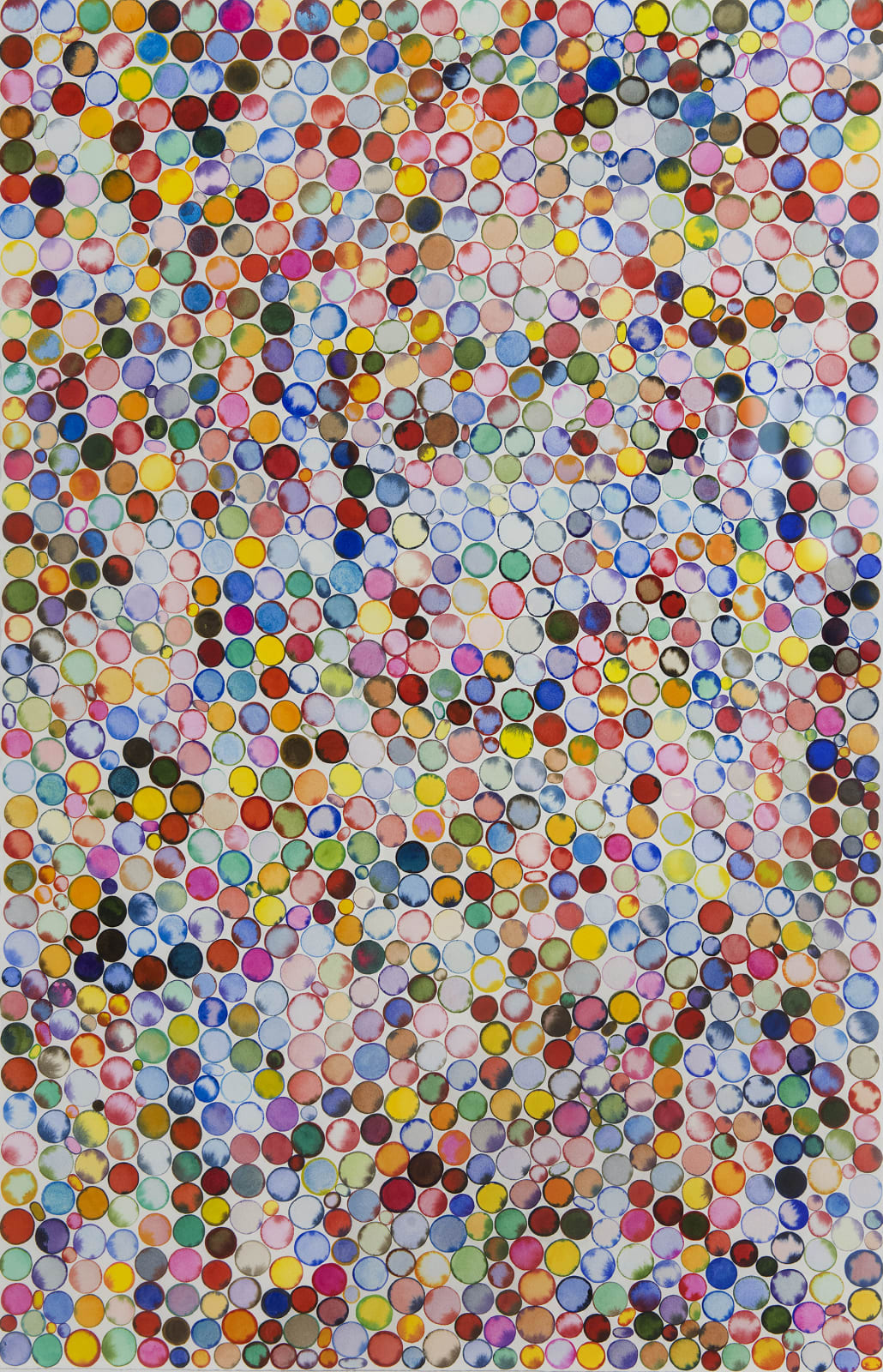 Deborah Friedman, Diversity I