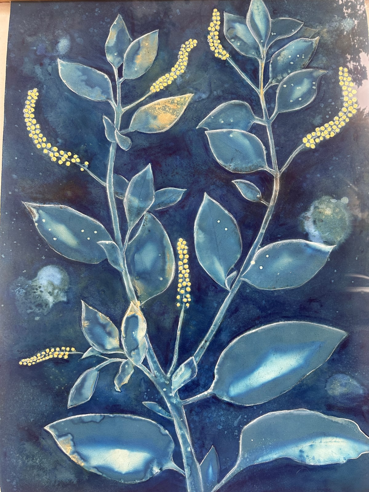 Beth Herman Adler, Pokeweed, 2025