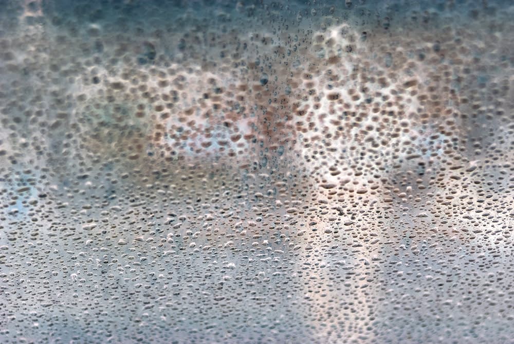 Bill Sosin, Emergence