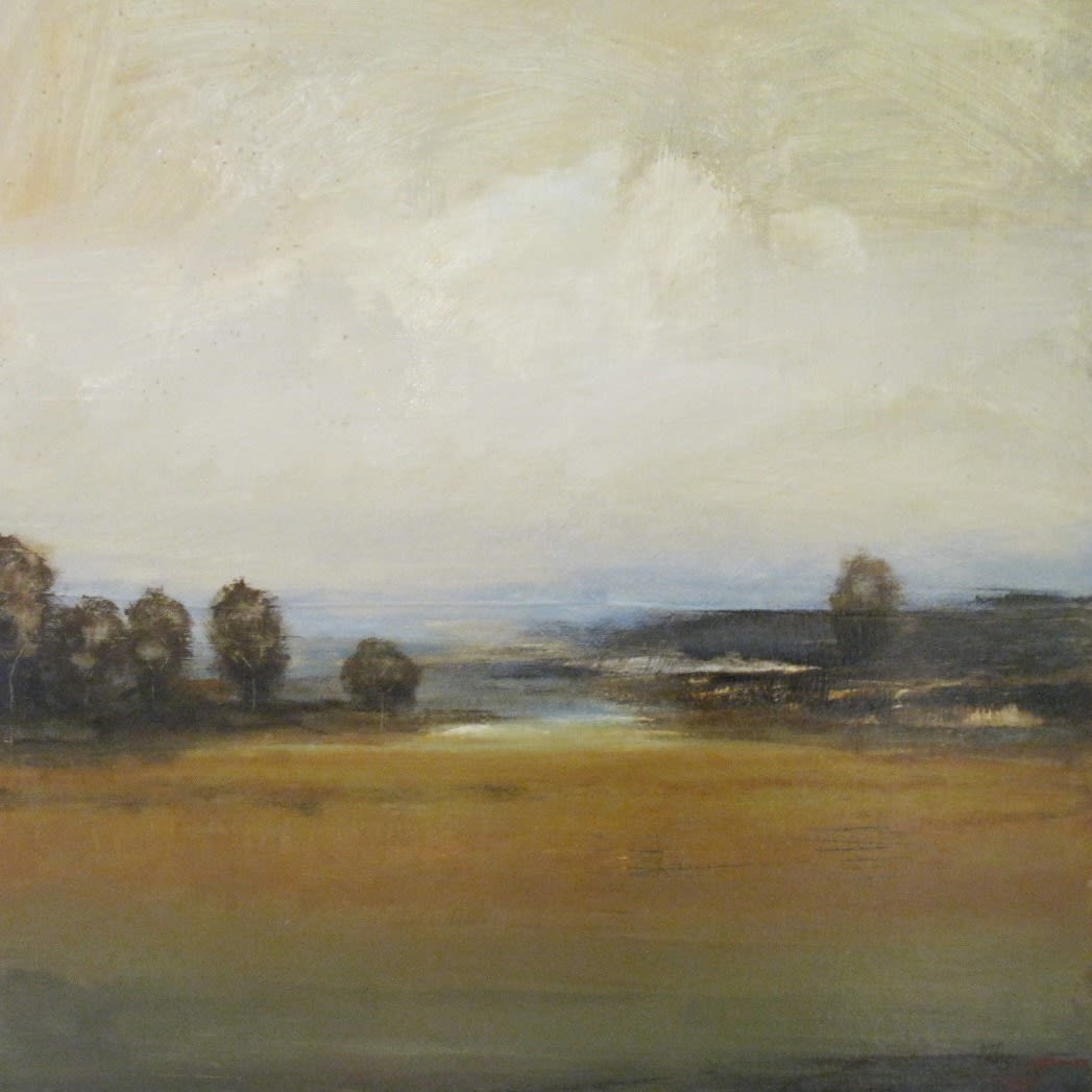 Lisa Ridgers, Plane Views II