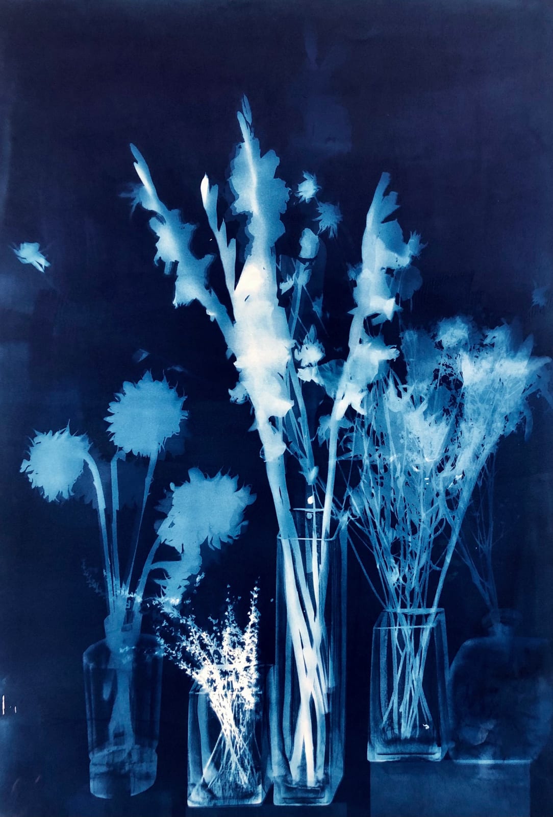 Ruth Hamill, With Gladiola, 2025