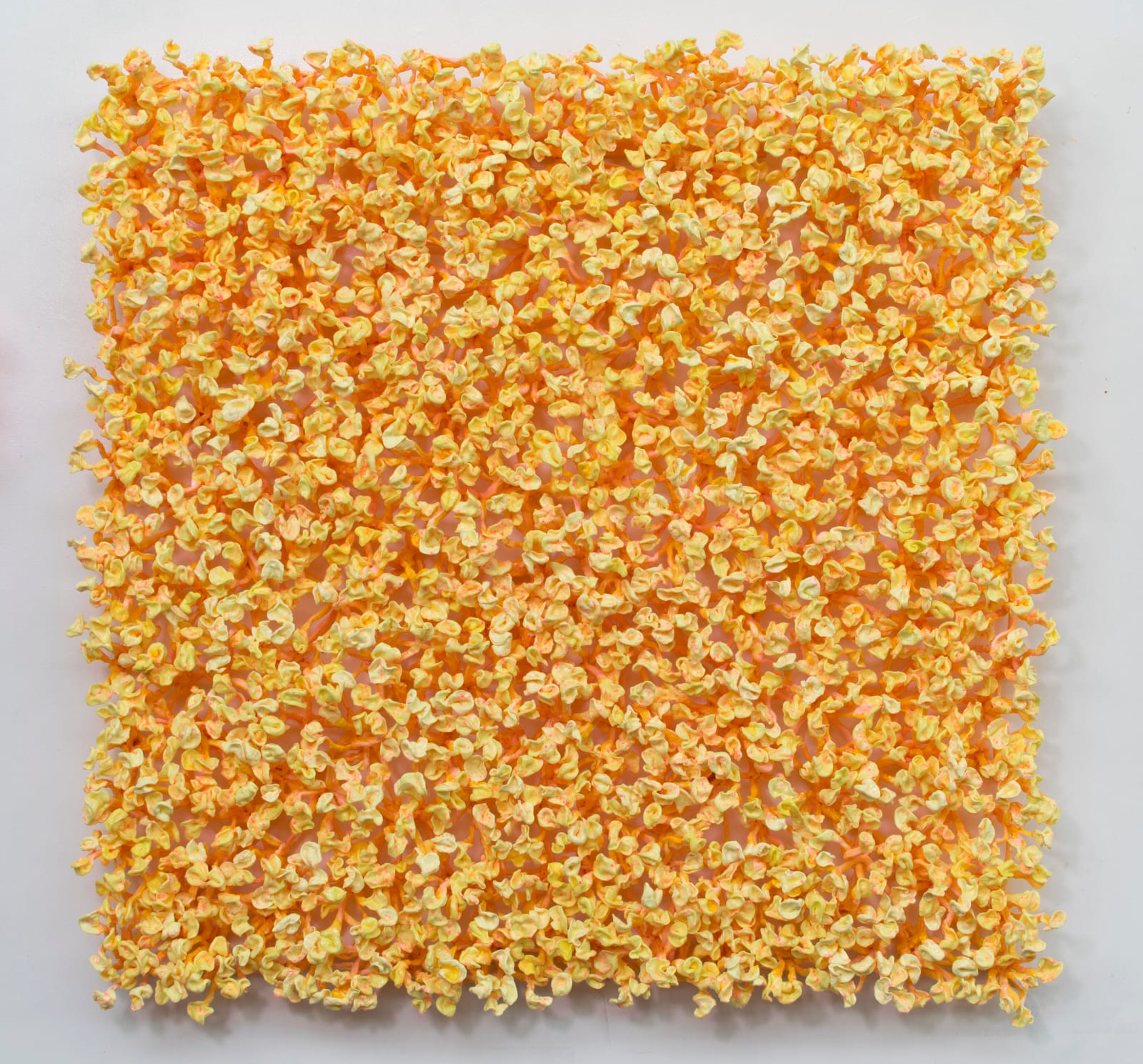 Stefan Gross, Emperor Yellow, 2017