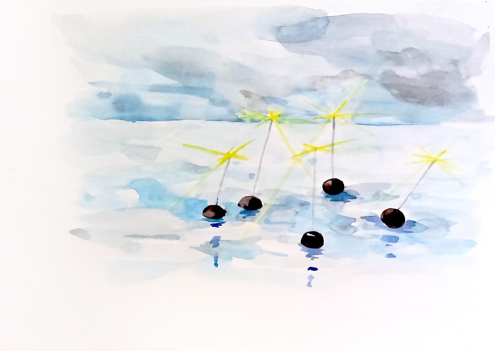 Soyoung Chung, Island studies, 2018