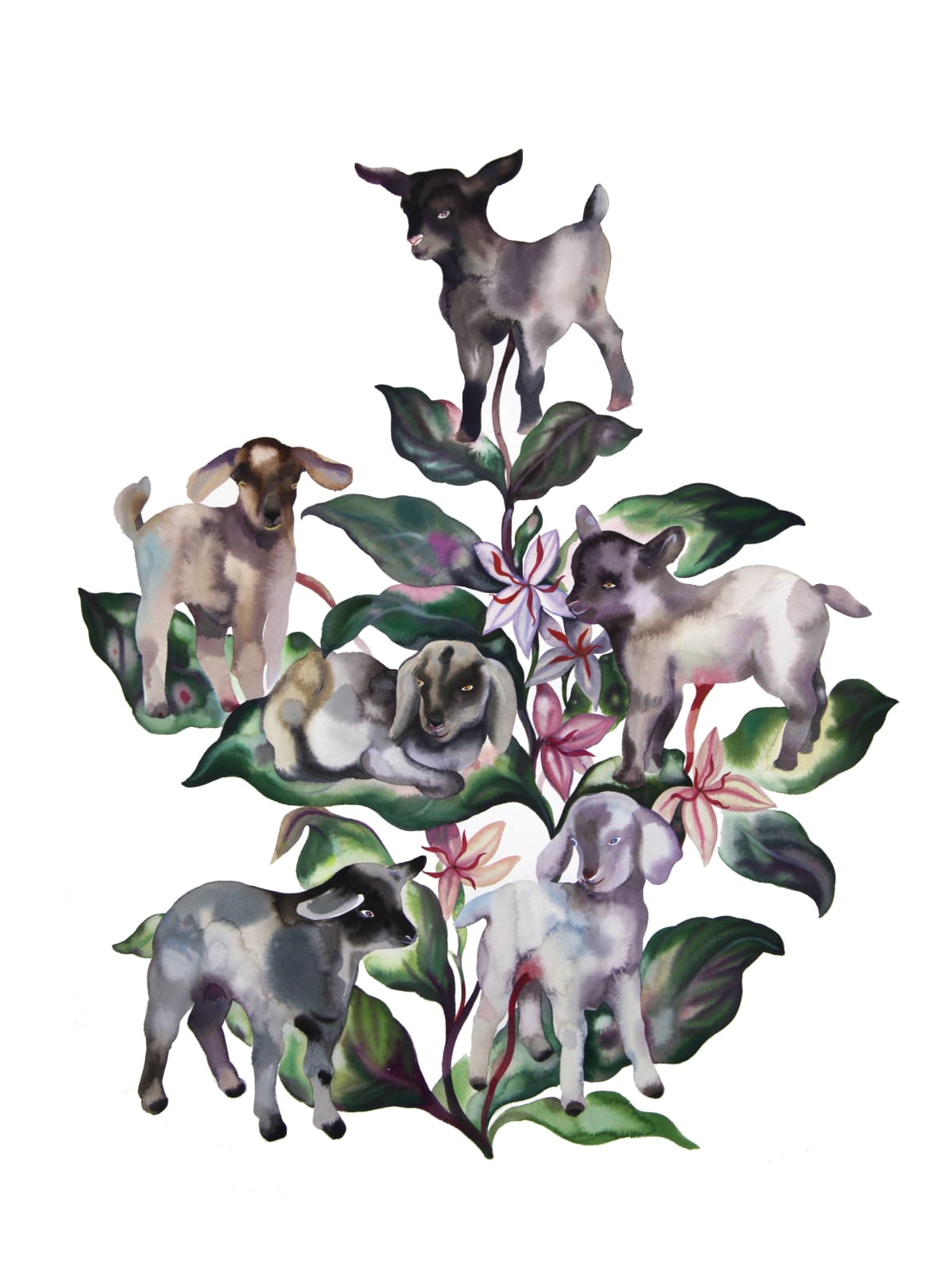 Stella Sujin, Animal plant 3, 2022