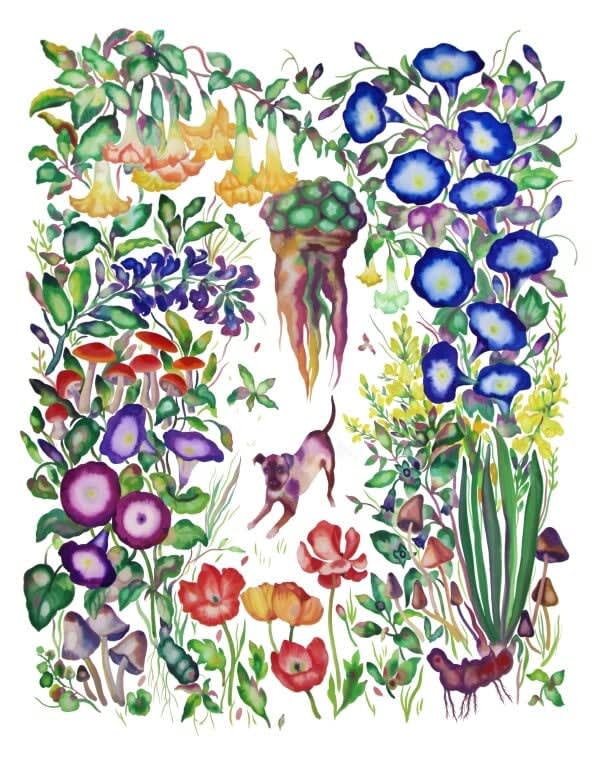 Stella Sujin, Pychotropic garden, 2021