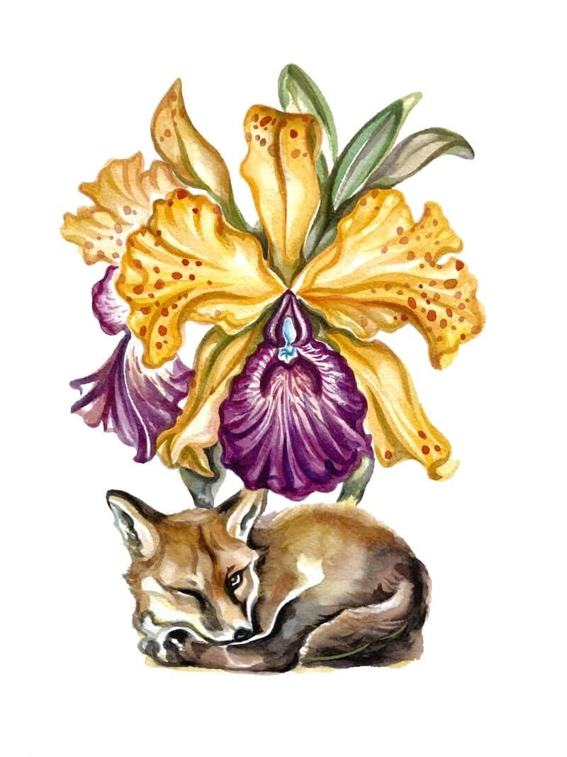 Stella Sujin, Foxling Rest, 2024