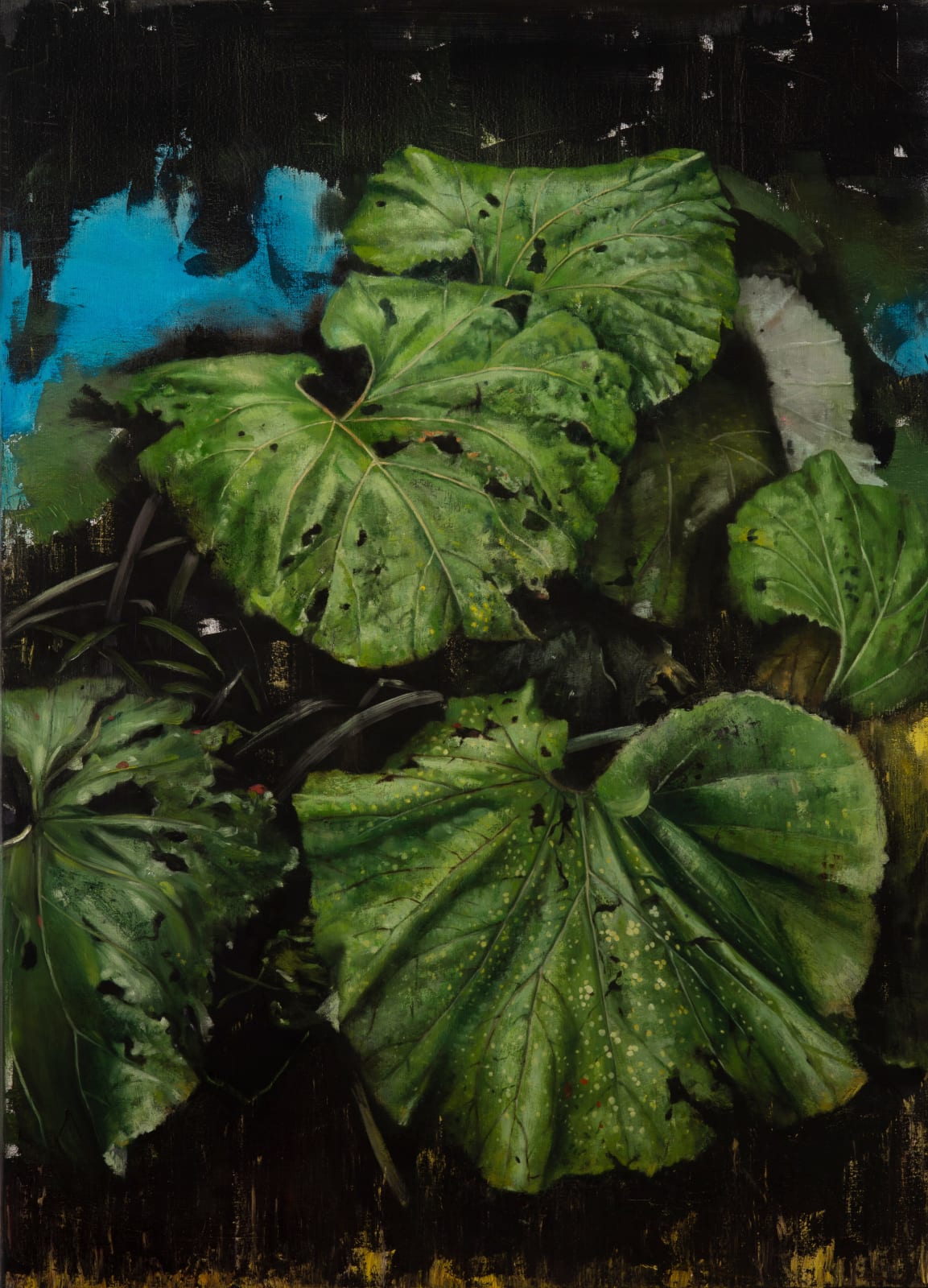 Helena Parada Kim, Butterbur, 2020