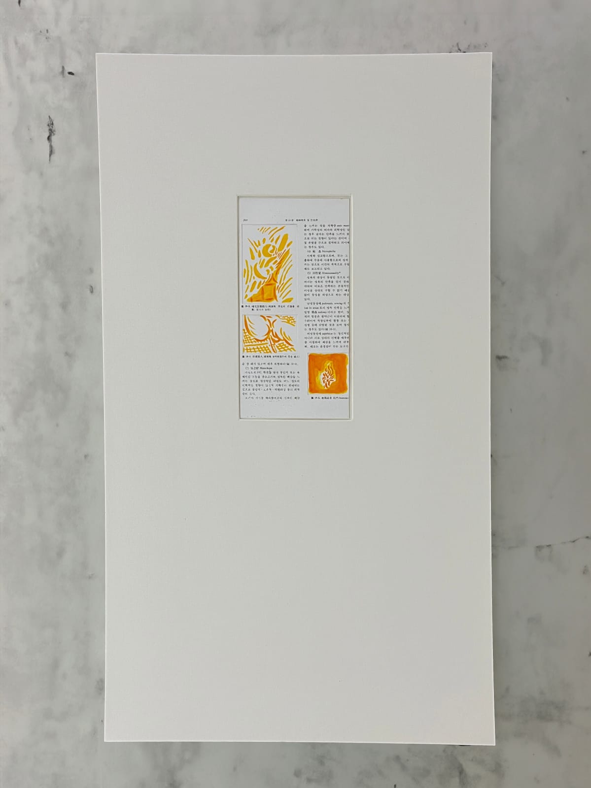 Yeonså Cha, Sunshine Yellow I (anus)