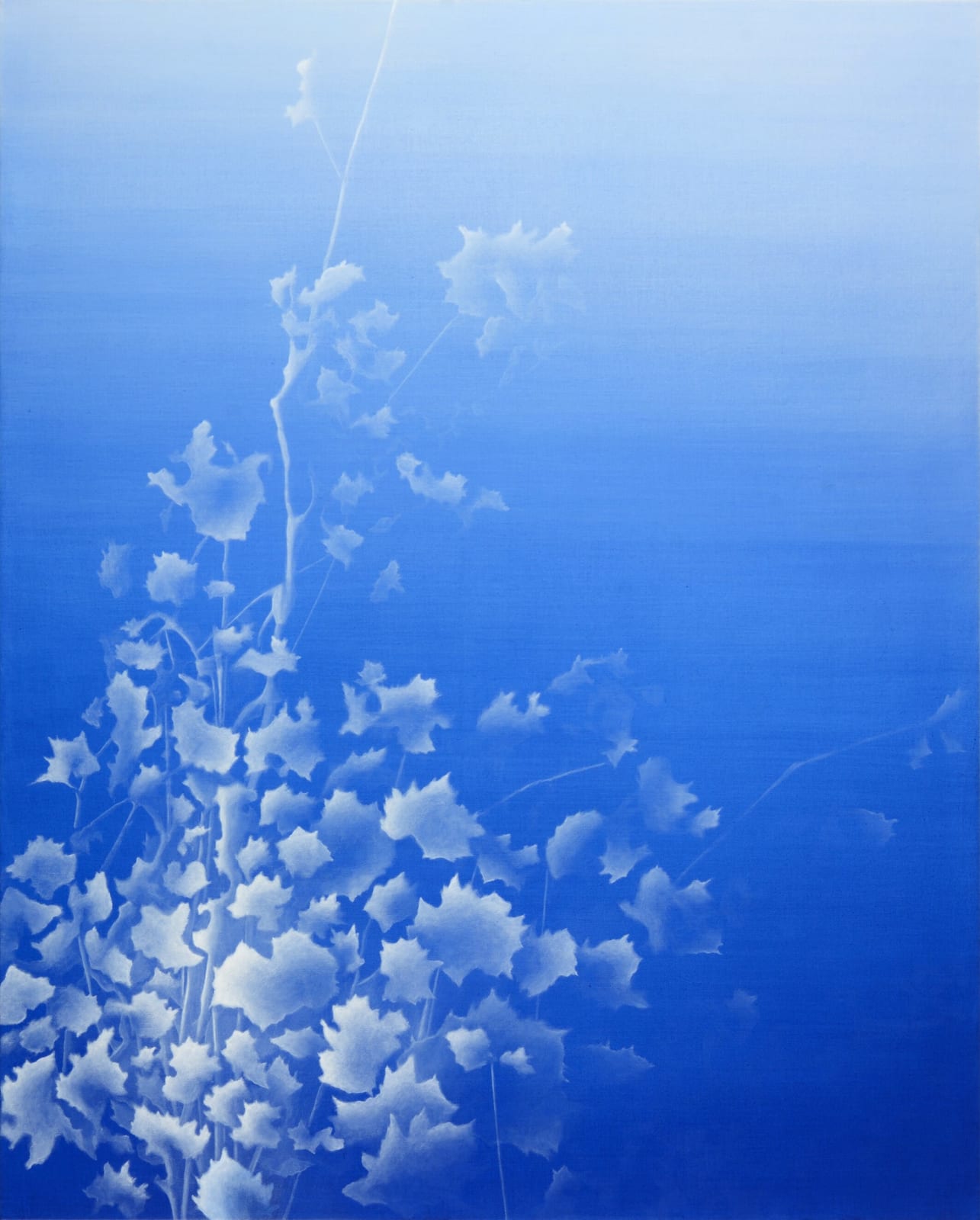 Bertram Hasenauer, Untitled, 2020