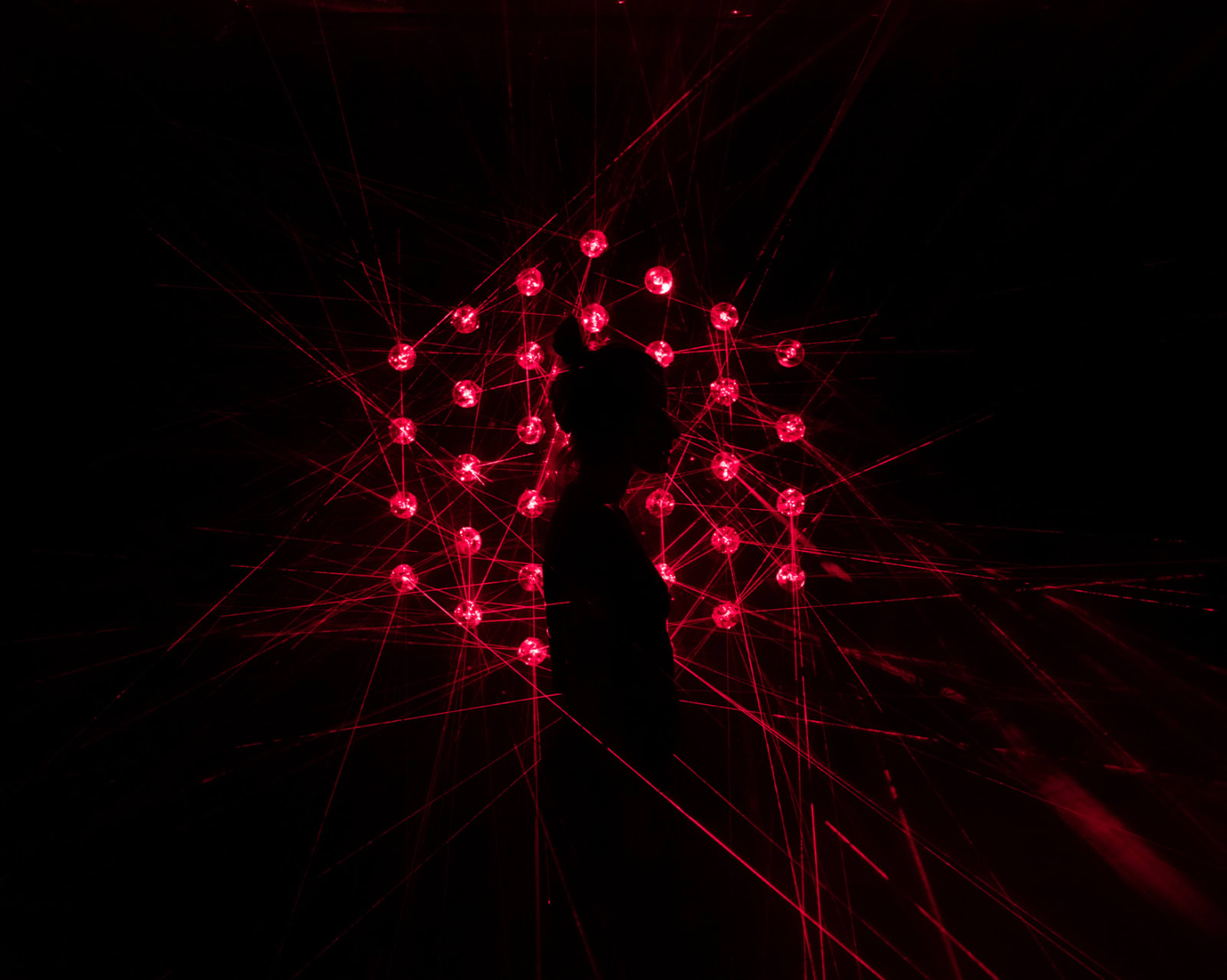 Chris Levine, Flower of Light, 2012