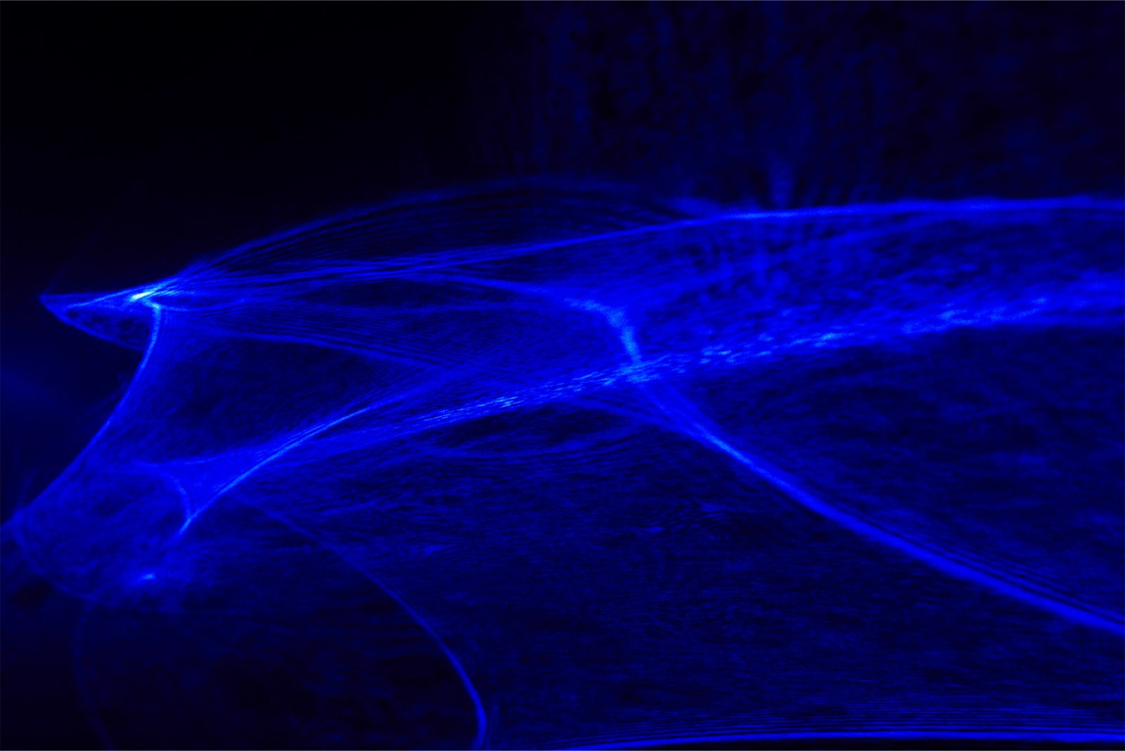 Chris Levine, Geometry of Truth , 2015