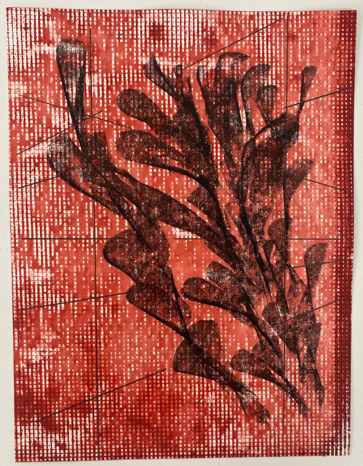 Tahir Carl Karmali, Hang me between your windows X from series 2, 2025