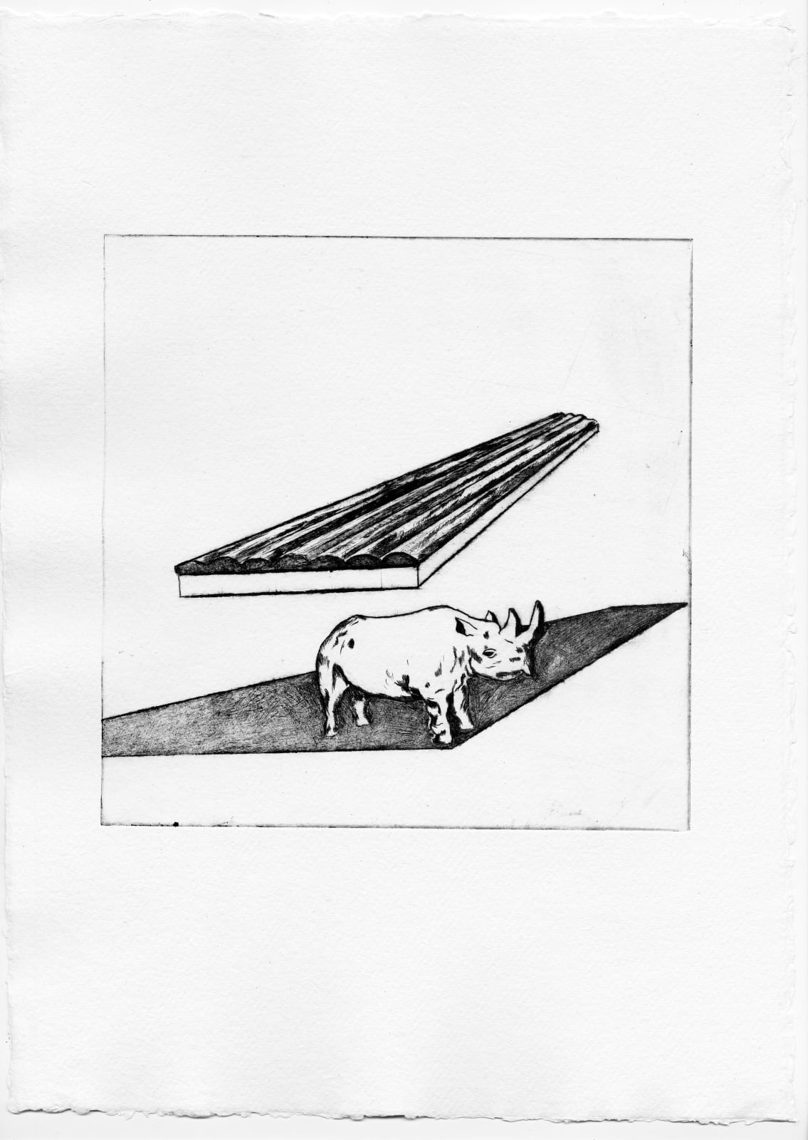 Jackie Karuti, Rhino (Shadow), E.d 4/12, 2024