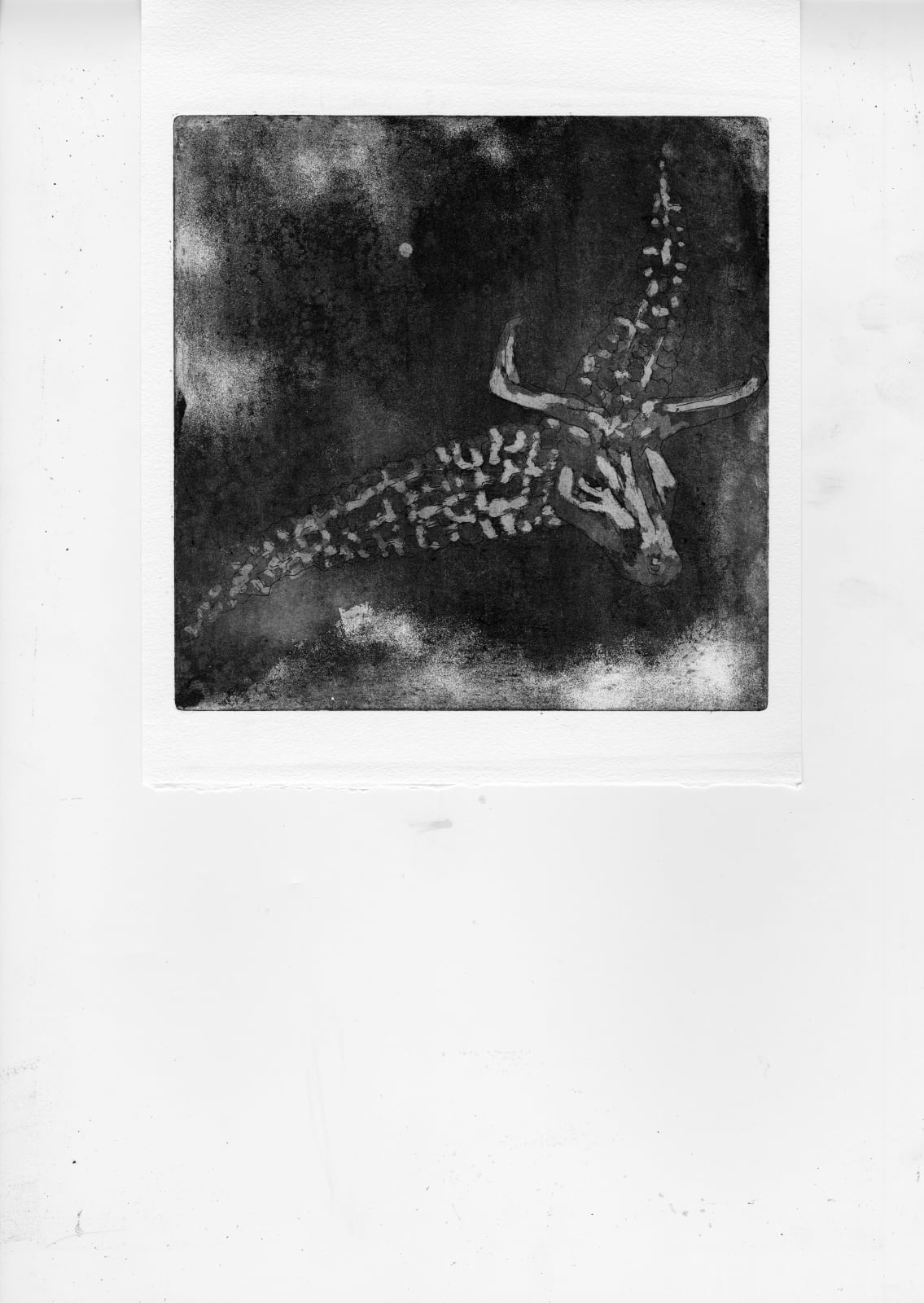 Jackie Karuti, Exquisite corpse 3, E.d 1/50, 2024