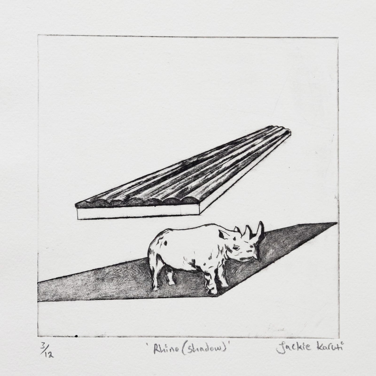 Jackie Karuti, Rhino (Shadow), E.d 3/12, 2024