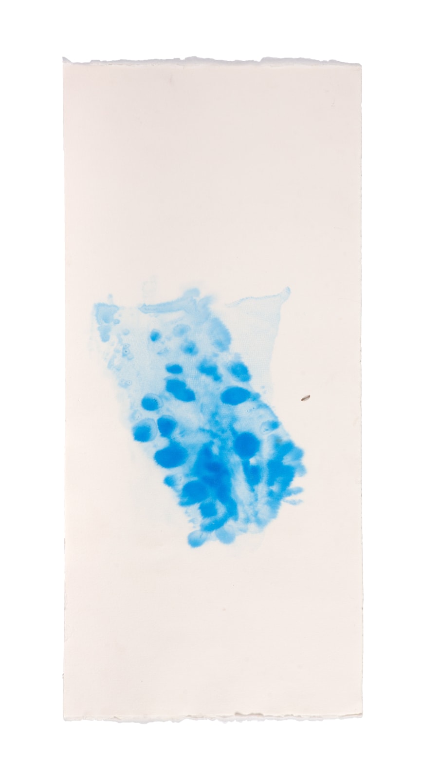 Agnes Waruguru, Remnants #34, 2019