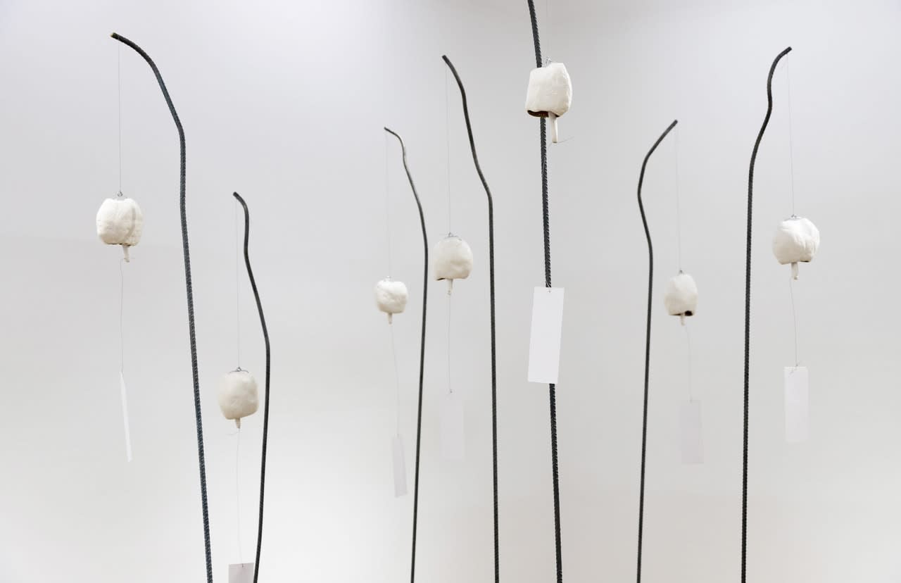 Evans Mbugua, Thai thathaiya Ngai Thai, 2026