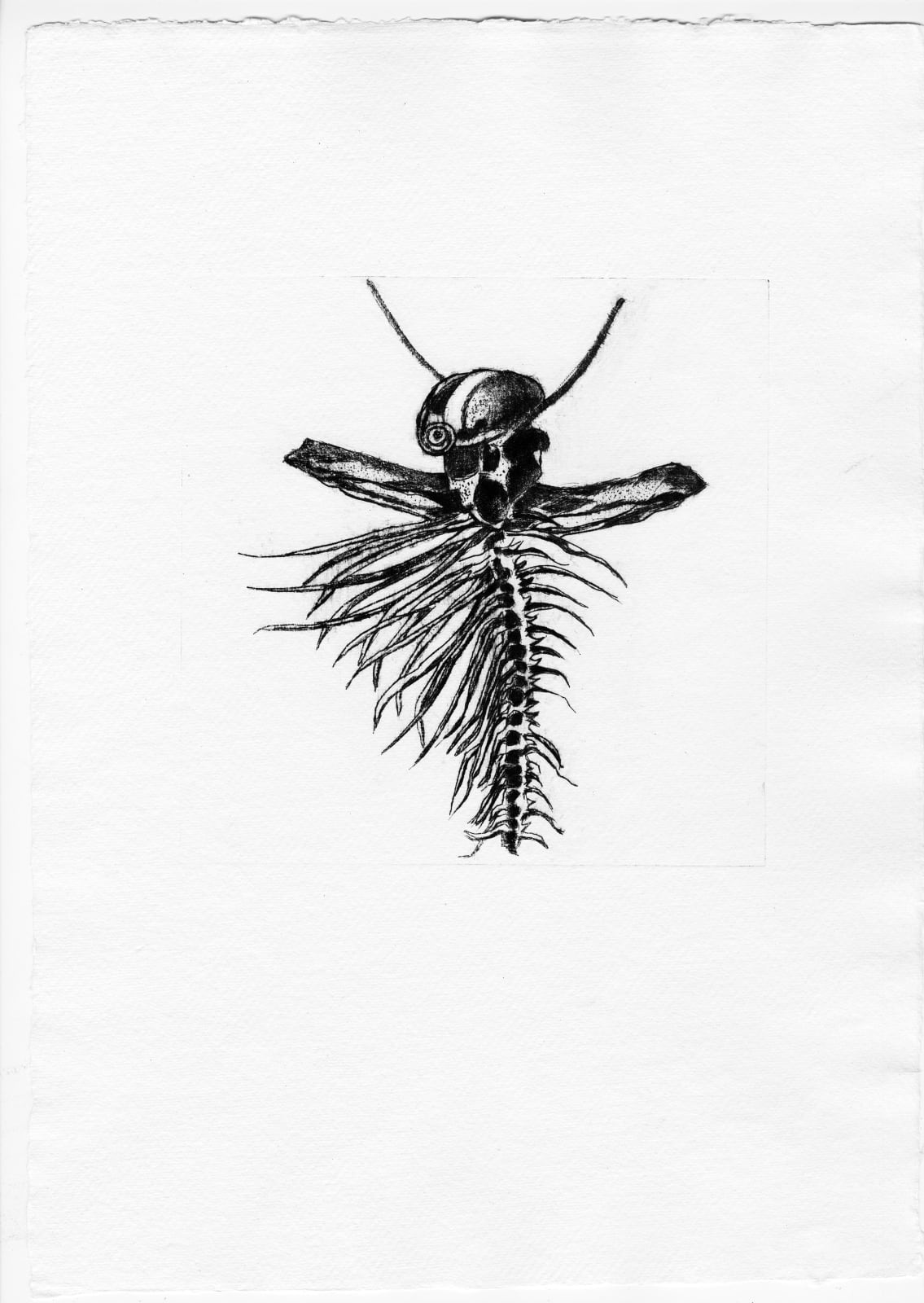 Jackie Karuti, Exquisite corpse 6, E.d 1/12, 2024