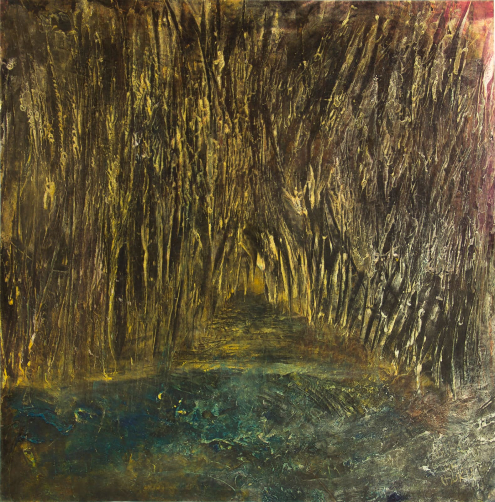 Tabitha wa Thuku, Congo Forest, 2010