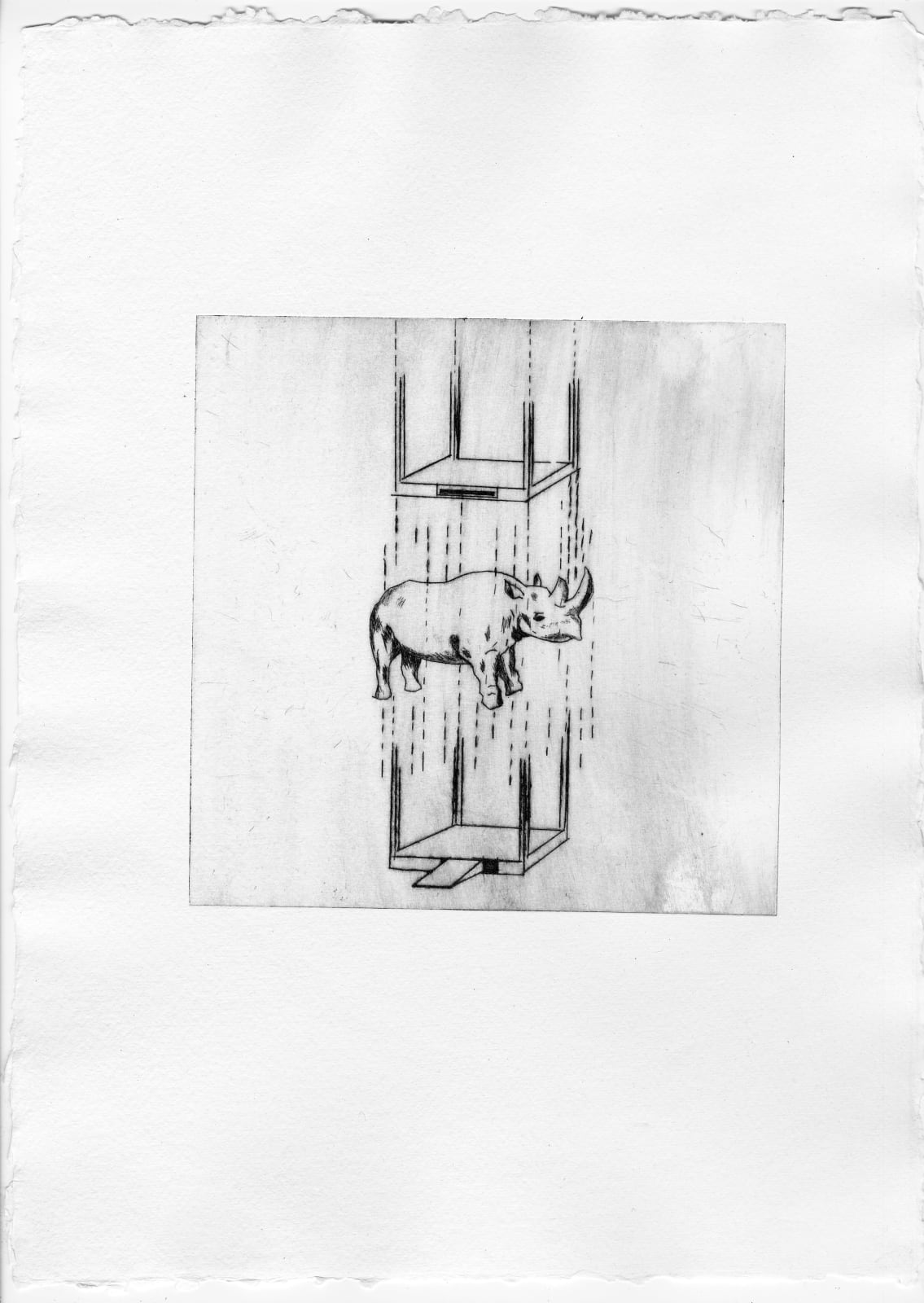 Jackie Karuti, Rhino (Elevator) , E.d 1/12, 2024