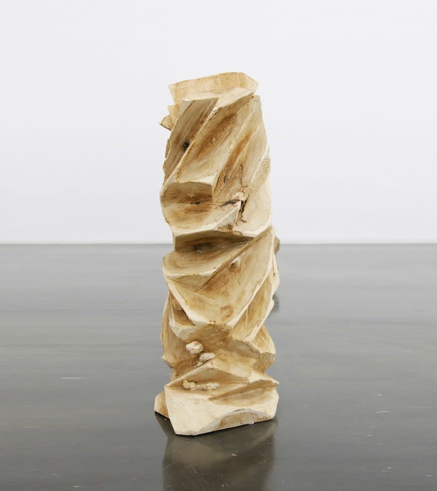 Yang Xinguang, The Remaining Volume No.7, 2014