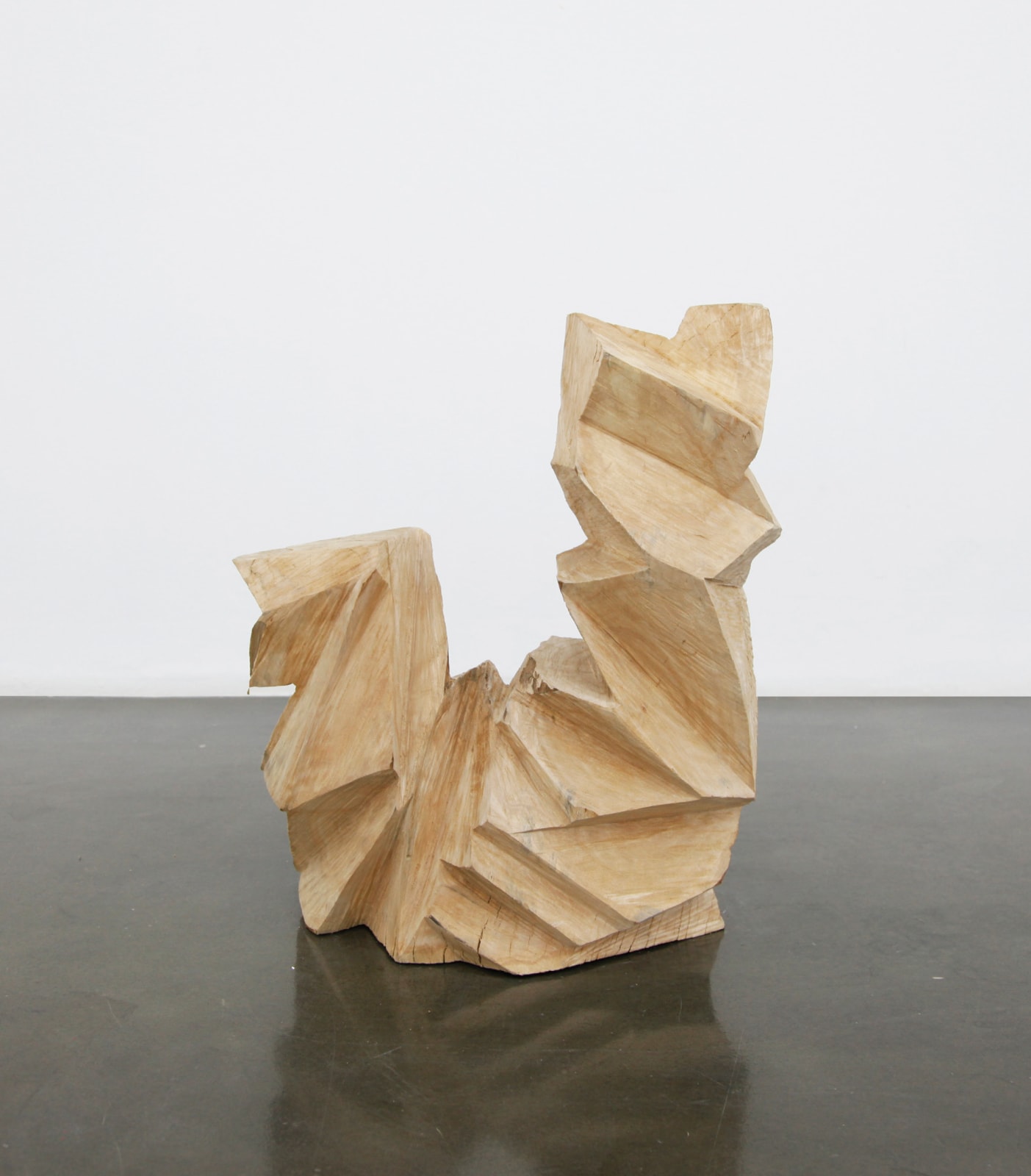 Yang Xinguang, The Remaining Volume No.11, 2014