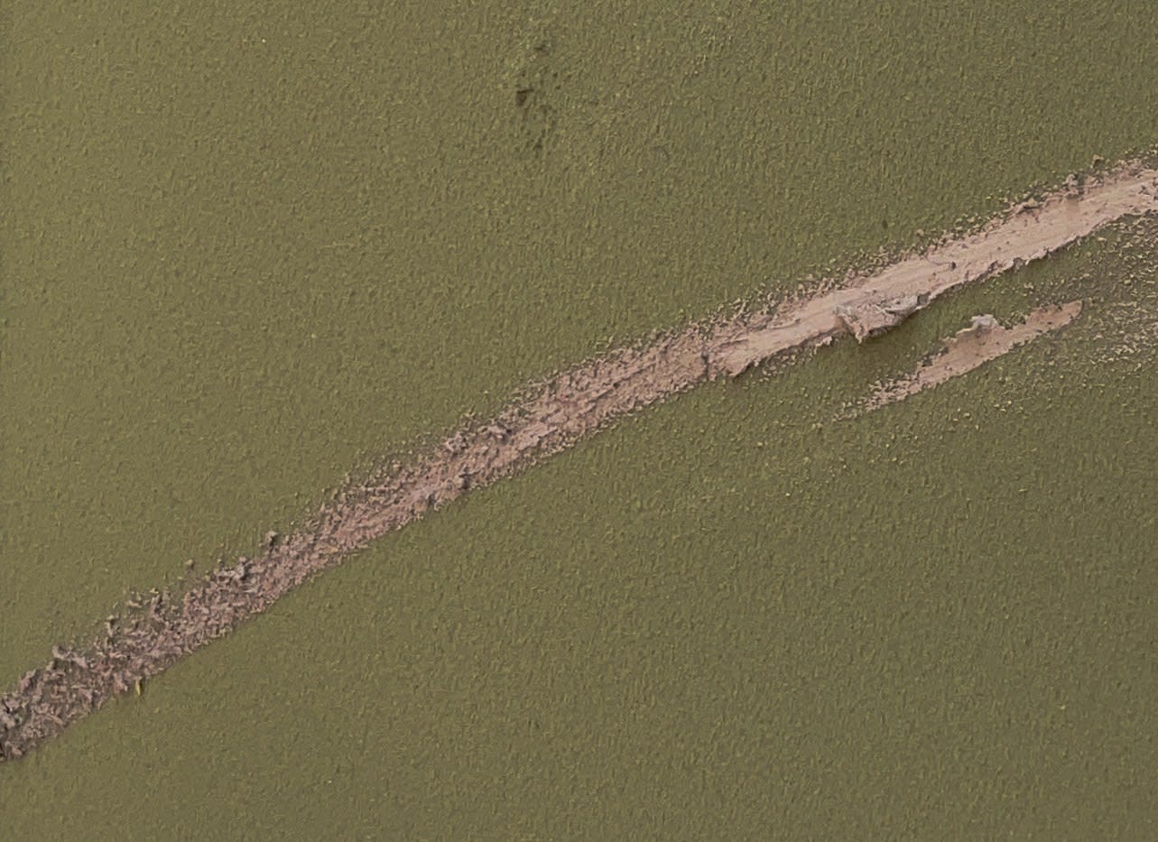 Claire Baker, feather rush 1, 2023