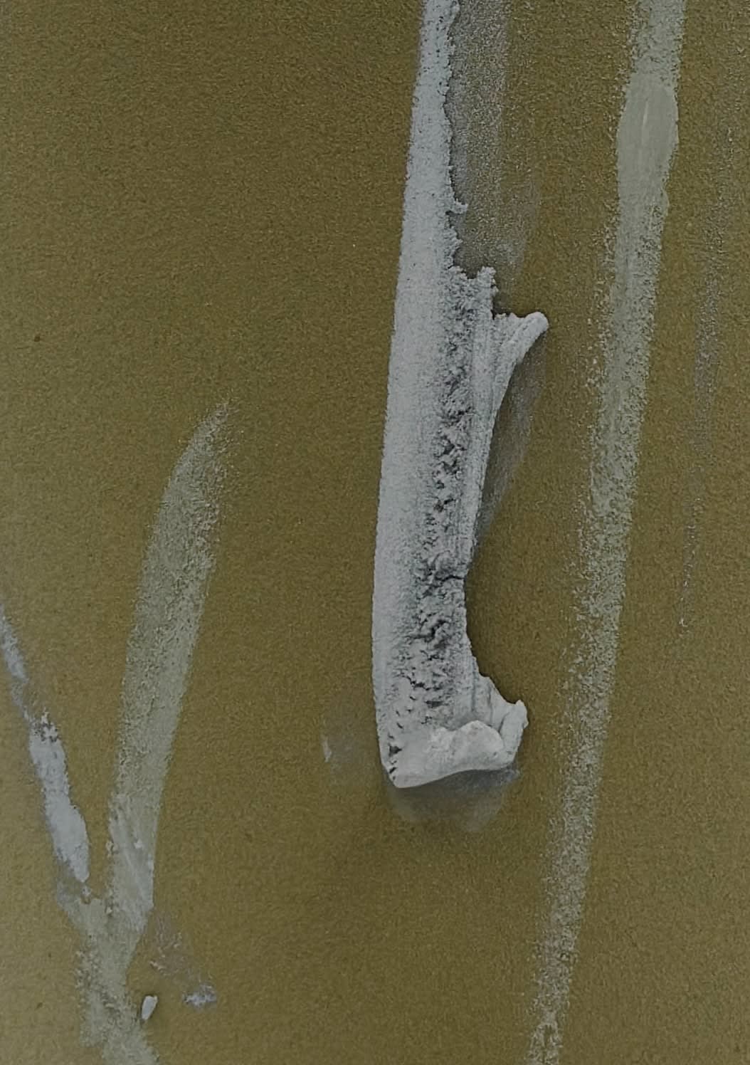 Claire Baker, lit drops 2, 2023