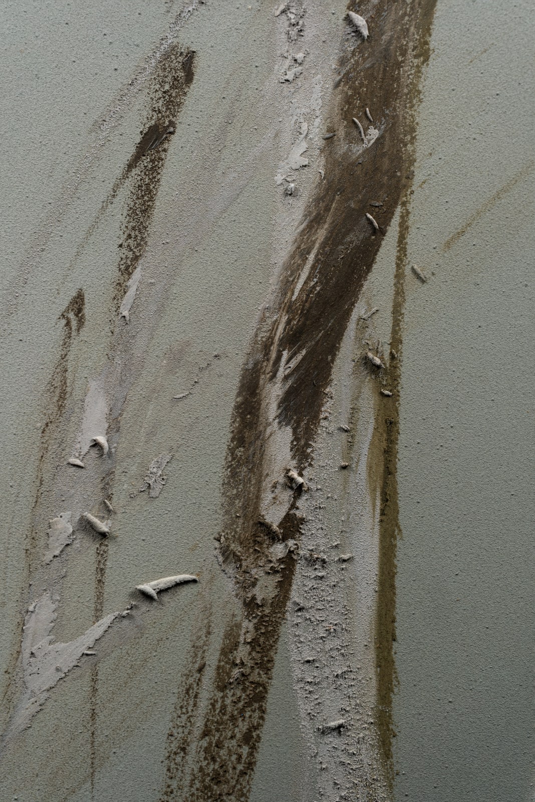 Claire Baker, wet silver, breeze 4, 2023