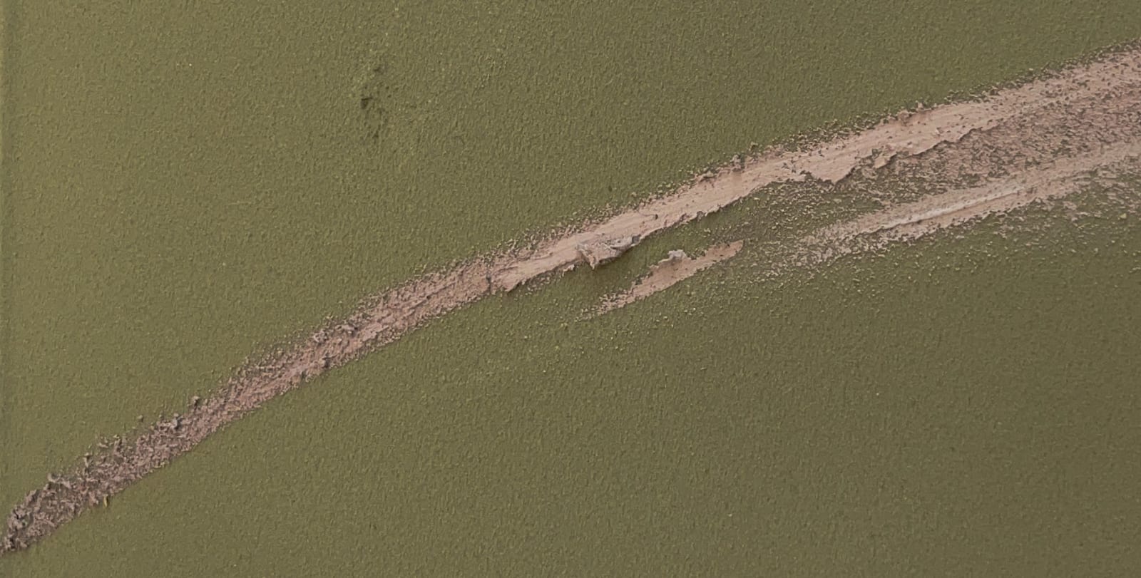 Claire Baker, feather rush 1, 2023