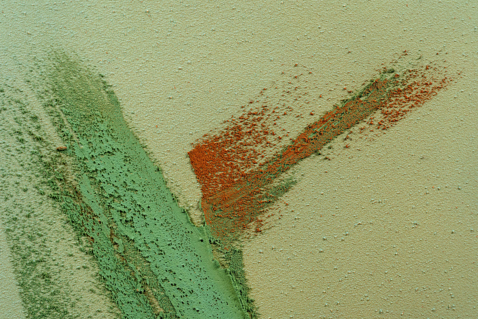 Claire Baker, bloom burst 1, 2024