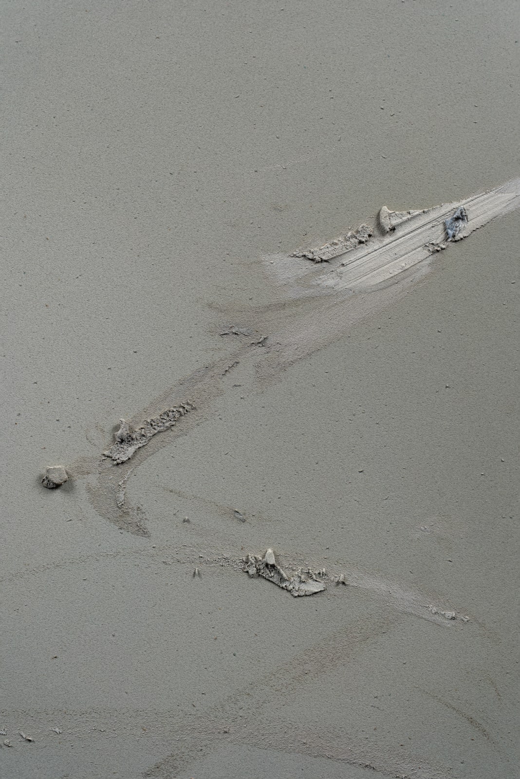 Claire Baker, wet silver, breeze 1, 2023