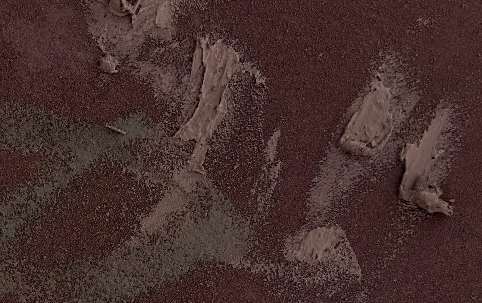 Claire Baker, from below 3, 2023