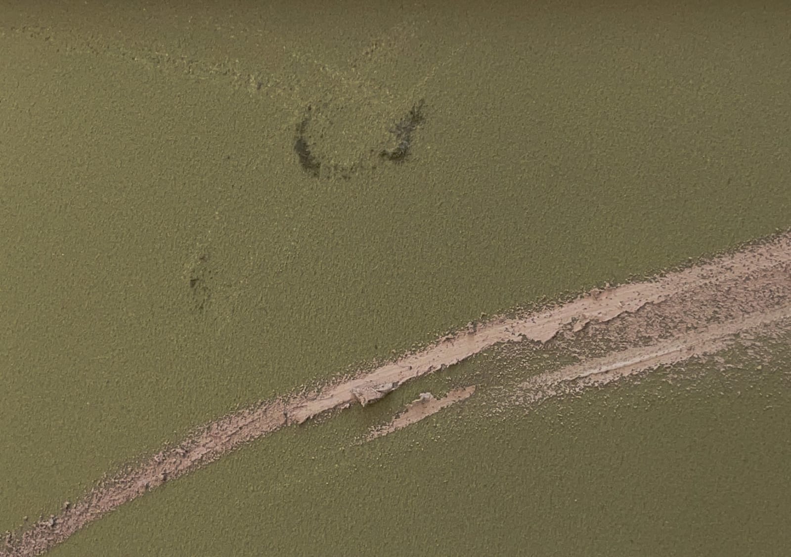 Claire Baker, feather rush 1, 2023