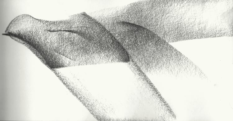 Claire Baker, monsoon books IV, 2020