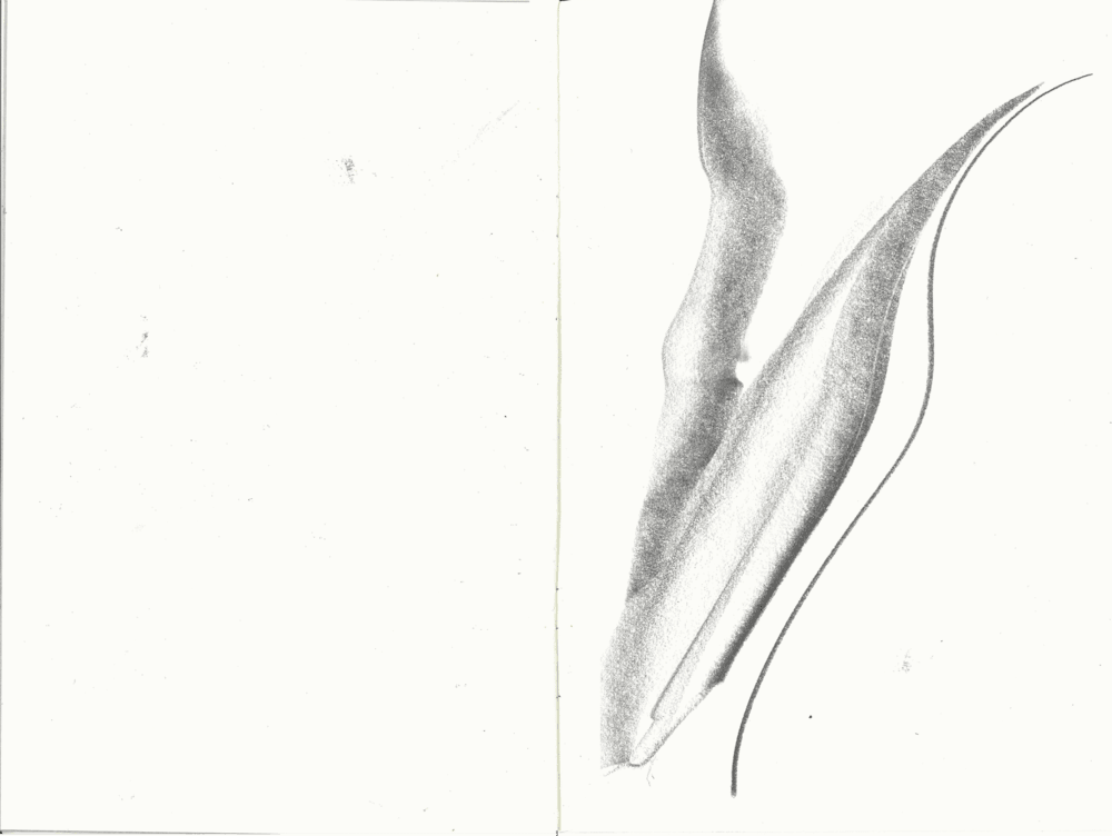 Claire Baker, garden book III, 2020